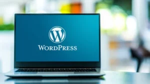 Built a Successful Blog Using Free WordPress Hosting Case study